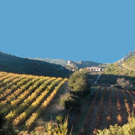 Gite Dans Ancienne Bergerie En Pleine Garrigue Fraissé-des-Corbières Exterior foto